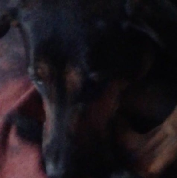 Meet your Posher, Richard - Picture 1 of 1